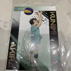 2025年最新】擬似ユースの人気アイテム - メルカリ