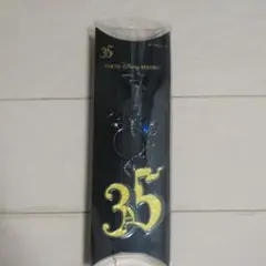 ディズニーリゾート 35周年キーチェーン