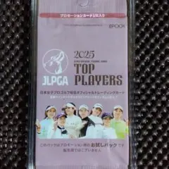 Item thumbnail for item 2e6226a6-6a8d-40a5-b5cb-24033a182d2a