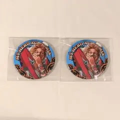 僕のヒーローアカデミア　ホークス　コレクション缶バッジ　2枚セット