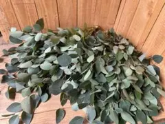 Hoa プロフ必読！お願いします様 リクエスト 4点 まとめ商品