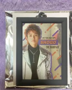 岩谷翔吾 フォトキー フォトミラー