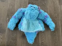 ディズニー　ディズニーランド　ファンキャップ　サリー　モンスターズインク