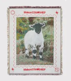 2026年最新】Straysheep rug greenの人気アイテム - メルカリ