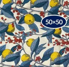 リバティプリント生地　約50×50㎝ コンサバトリーフルーツへ