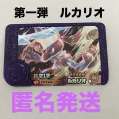 ポケモンフレンダ ルカリオ スーパートレジャー テラスタル