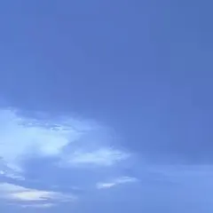 専用ページ