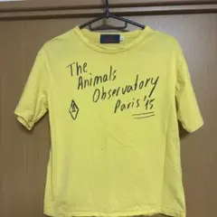 The Animals Observatory Tシャツ 10
