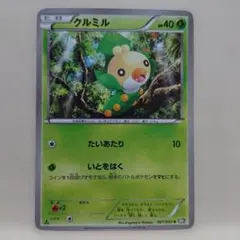 クルミル ポケモンカード 001/053のサムネイル
