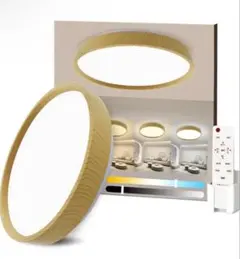 Item thumbnail for item 3062c4fa-c950-48ee-9693-db2005ac4ddd