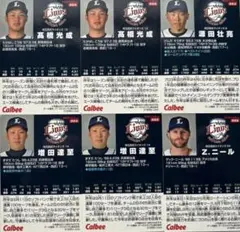 Calbee Baseball Card 埼玉西武ライオンズ