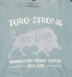 【人気】コンフォートカラーズ カレッジ風スクールTシャツ Lサイズ くすみブルーのサムネイル