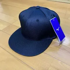 Item thumbnail for item c8906785-3e2d-414b-a129-606ead79043b