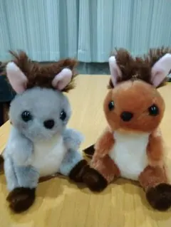 2026年最新】エゾリスの人気アイテム - メルカリ