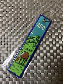 3点セット)限定品 JAL 阿蘇くまもと空港 フライトタグ3種セット 限定品
