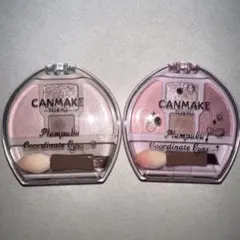 CANMAKE キャンメイク プランぷくコーデアイズ Neo N02 05限定色