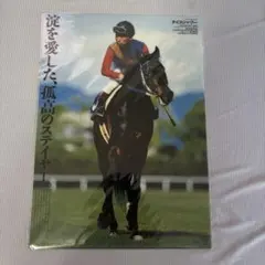 jra ヒーロー列伝　ステイゴールド　B2 JRAヒーロー列伝 ステイゴールド - メルカリ