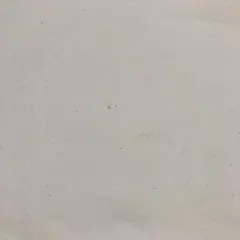 生成りシーチング