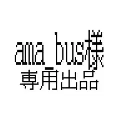 ama_bus様 専用出品