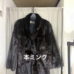 2025年最新】rotiny 毛皮の人気アイテム - メルカリ