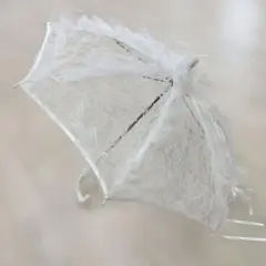 近沢レース かき氷 雨傘 梅雨グッズ 水色 夏祭り - メルカリ
