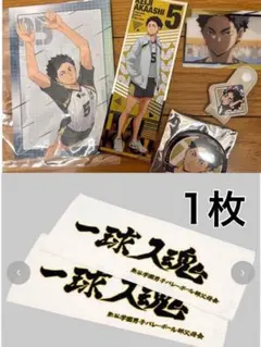 Item thumbnail for item 7eebcf1c-5774-4103-85d8-25f95bf599b9