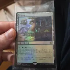 2026年最新】寺院の庭 foilの人気アイテム - メルカリ