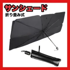 Item thumbnail for item ac8f409c-2e12-4534-ab84-679af7fa240c