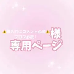 ⚠️購入前にコメント必須⚠️プロフ必読！様カンペうちわオーダーページ
