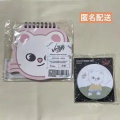 【即購入可】Stray Kids THE VICTORY セット ジニレット