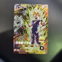 ★希少　ドラゴンボールセレクション 1、2、3、5巻（新品未開封） ドラゴンボール カード 孫悟空 希少 希少・ドラゴンボールZ