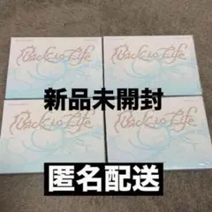 &TEAM andTEAM Back to Life 未開封 4枚セット