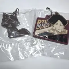 一番くじ　ハイキュー!! ー最強の挑戦者ー　 角名 倫太郎 G賞H賞2点セット