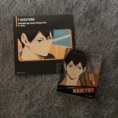 ハイキュー　影山飛雄　アクリルスタンド　トレーディングスクエアフォトカード