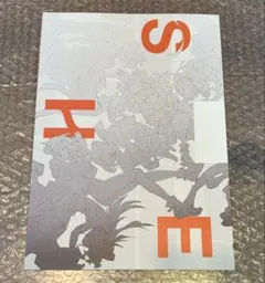 Item thumbnail for item be73eb02-ce9d-40d0-be14-81e22b026ccb