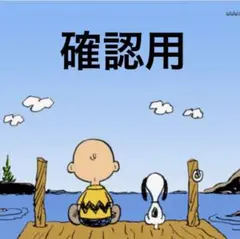 確認用