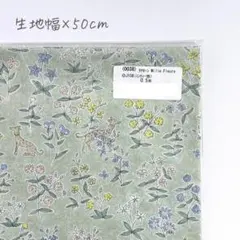 Item thumbnail for item bbaa0bda-7d1a-4cbe-bffa-f88db016a89b