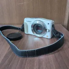 2026年最新】lumix gf6の人気アイテム - メルカリ