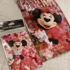 ディズニー　イマジニング　イマジニングザマジック　ミニー　ポストカード