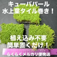 daiman様 リクエスト 3点 まとめ商品