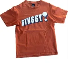 STUSSY 90s Tシャツ