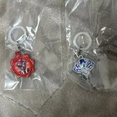 戦隊　めじるしアクセサリー　アバタロウギア　脳人ブレス