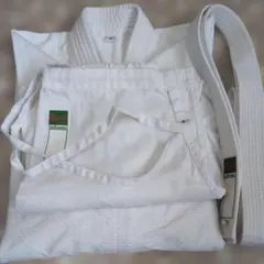 Item thumbnail for item 62b31d56-4046-46d9-88bd-35f03a5adcdf