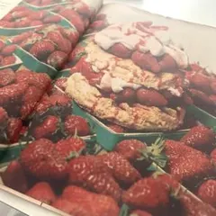 あまぐり様 リクエスト 2点 まとめ商品