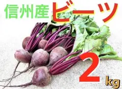 【信州産ビーツ】2kg 【有機肥料使用・化学農薬不使用】のサムネイル