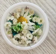 ドライフラワー　かすみ草　mix