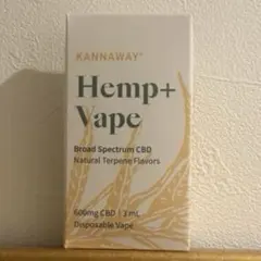 2026年最新】kannaway vapeの人気アイテム - メルカリ