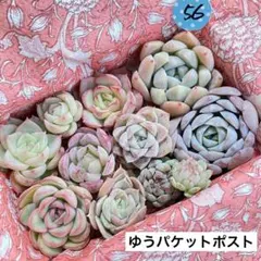 ママリン☆様 リクエスト 2点 まとめ商品