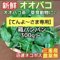 【てんよ～さま専用】オオバコ 新鮮箱パンパン300g+増量か野草サービス♪
