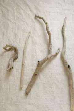 水槽用流木セット 自然な形状